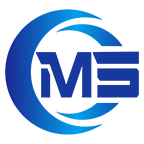 广东民森健康产业投资有限公司Logo
